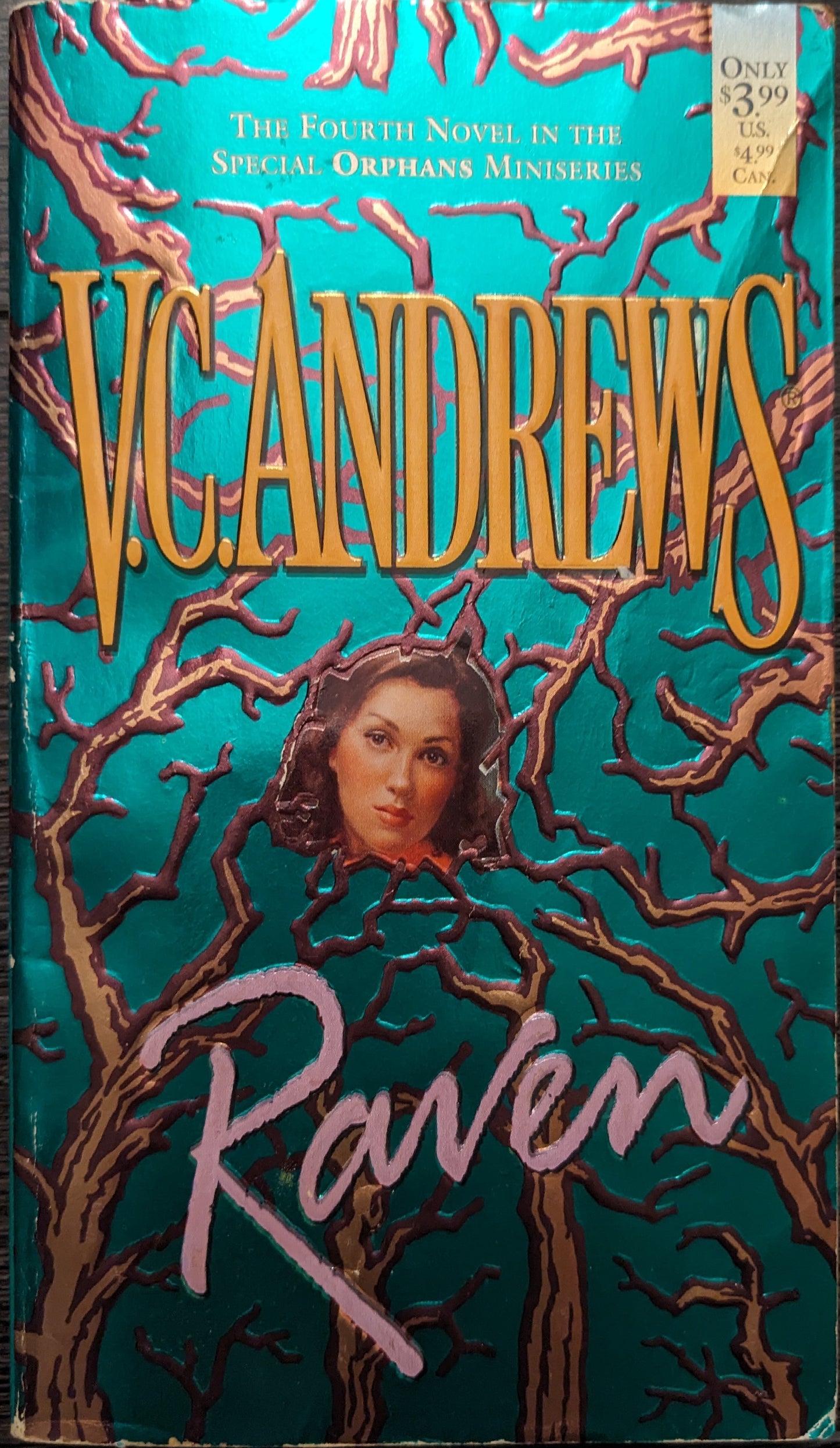 Raven by V.C Andrews