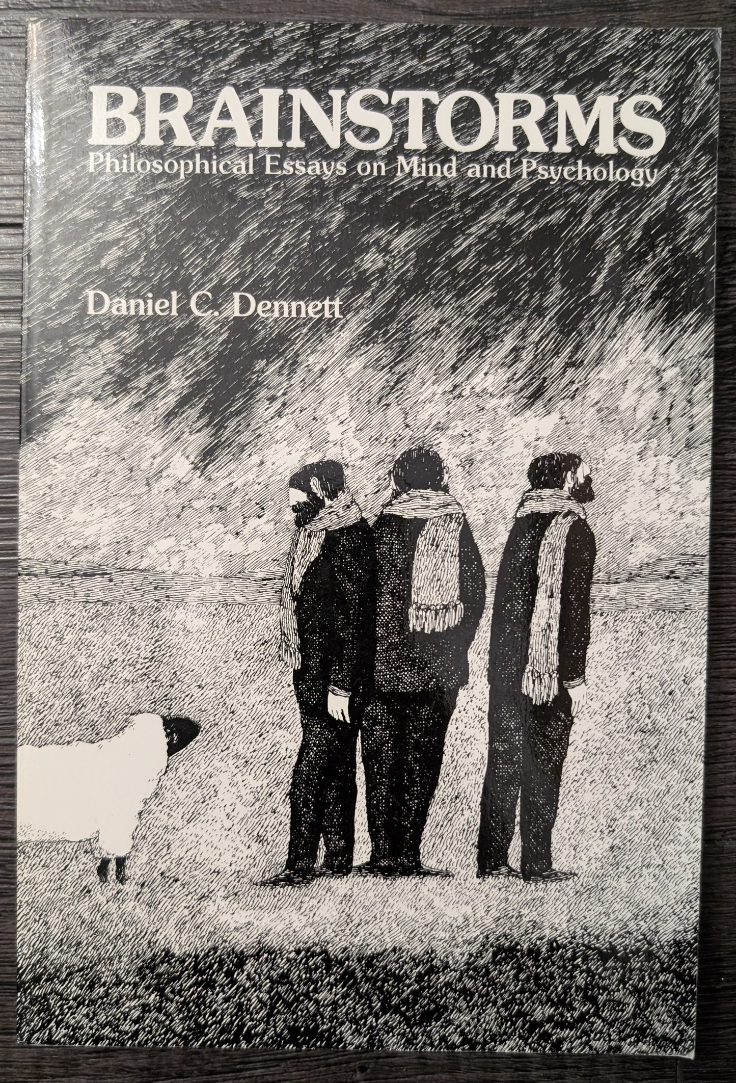 Brainstorms by Daniel C. Dennet