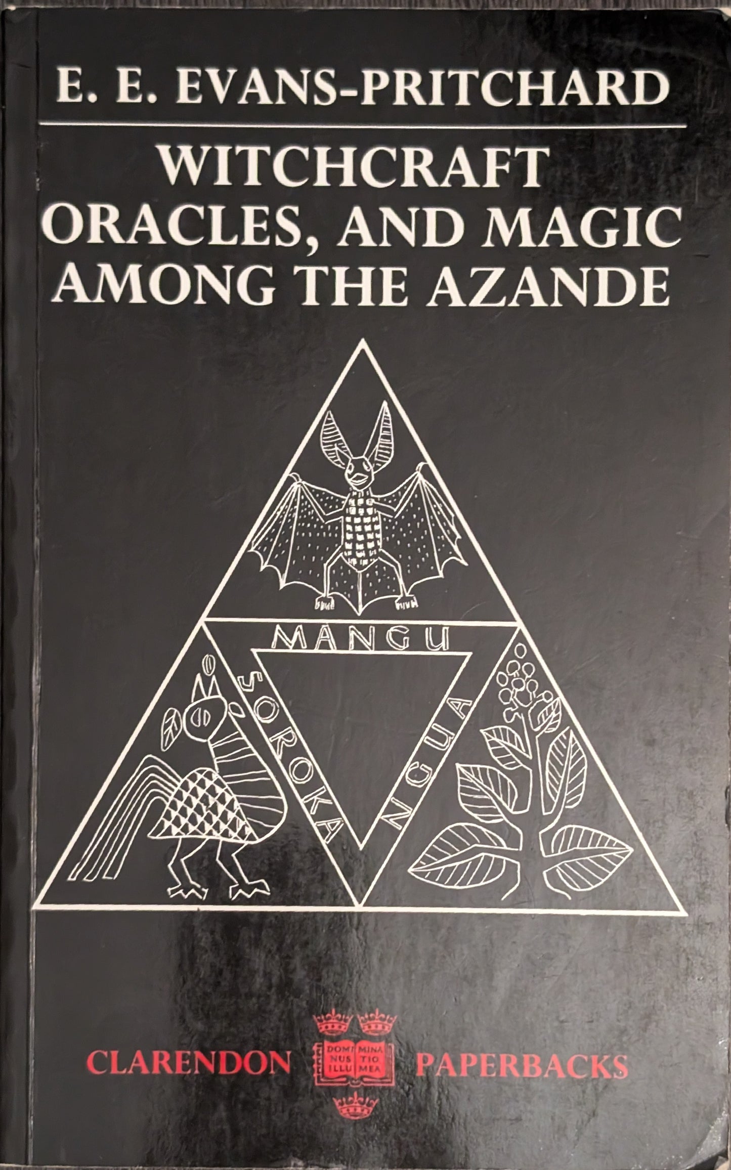 Witchcraft, Oracles, and Magic Among The Azande