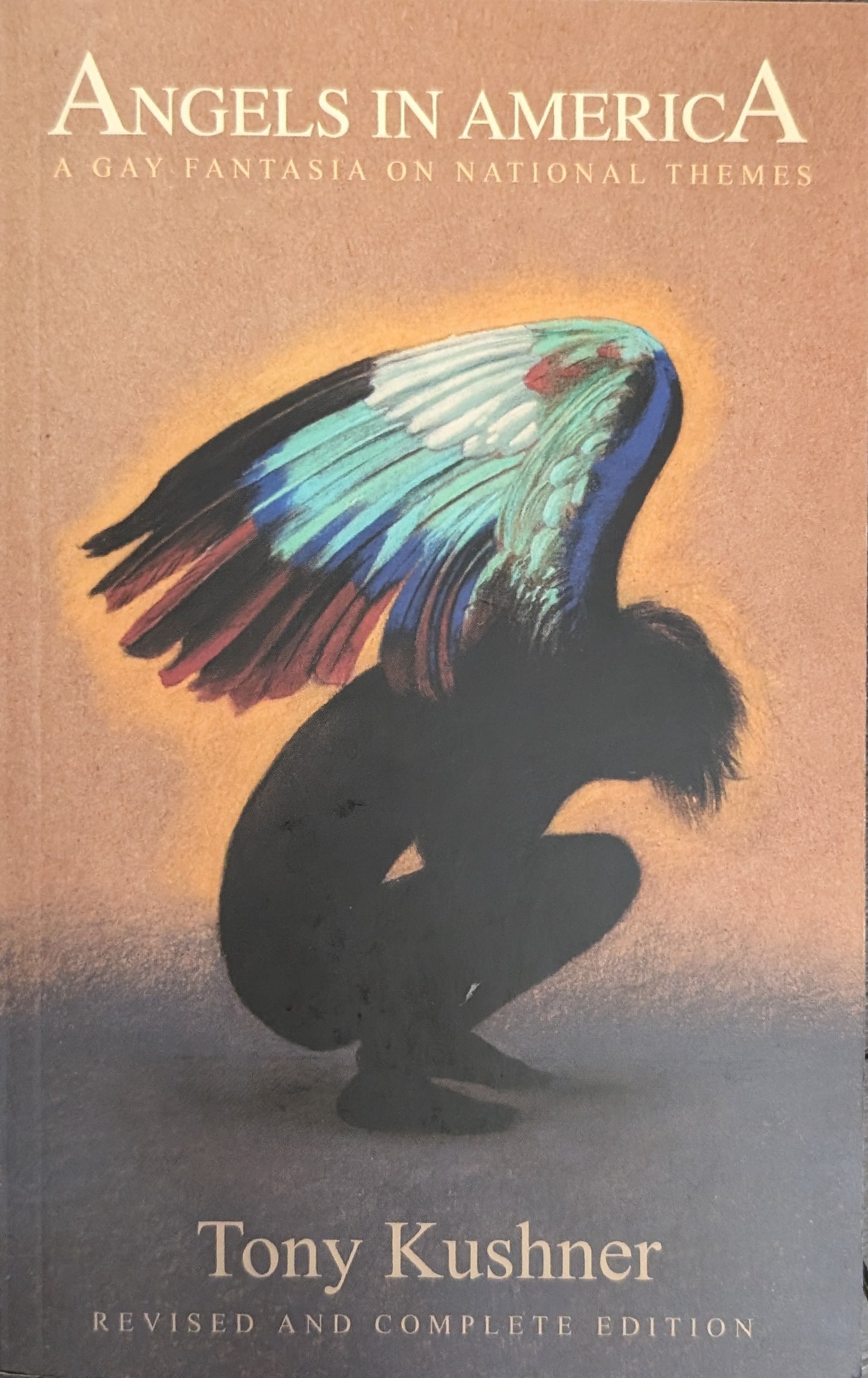 Angels in America: A Gay Fantasia on National Themes by Tony Kushner