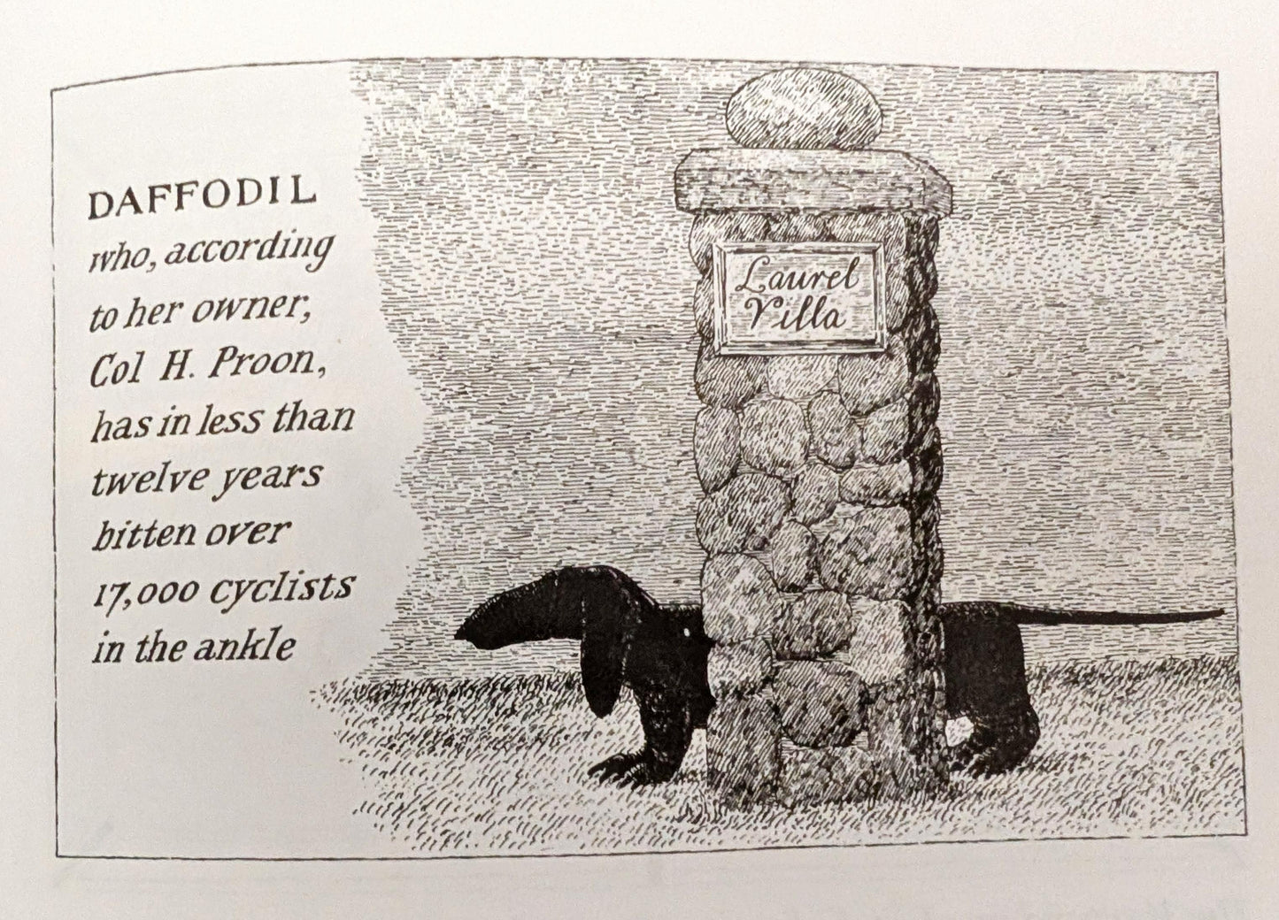 Amphigorey Also by Edward Gorey