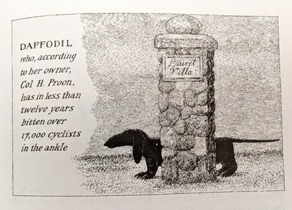 Amphigorey Also by Edward Gorey