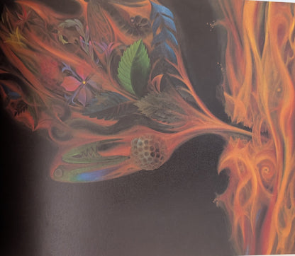 Light From The Darkness: The Painting of Peter Birkhäuser