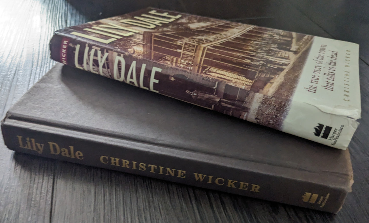 Lily Dale: The True Story of the Town that Talks to the Dead by Christine Wicker