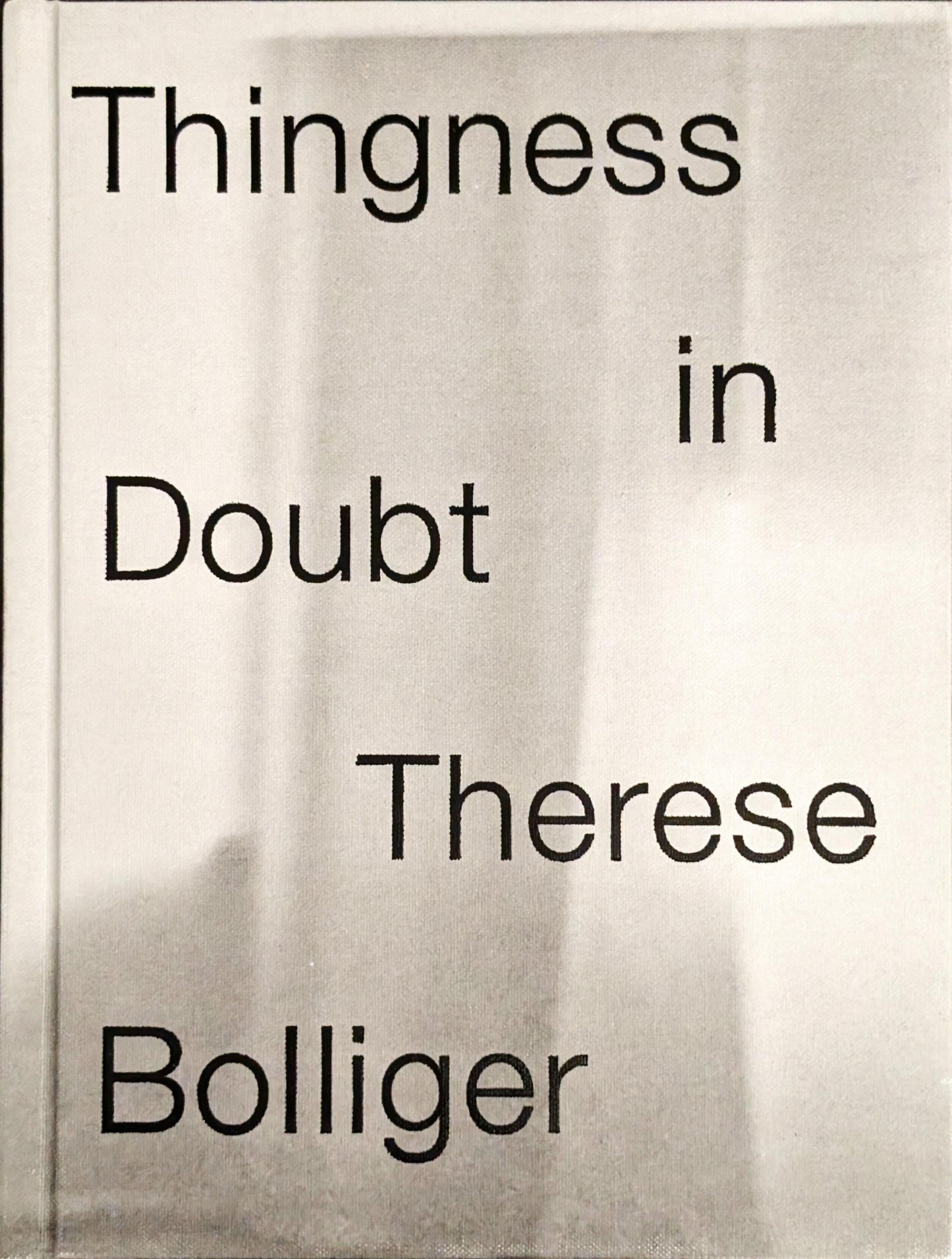 Thingness in Doubt by Therese Bolliger