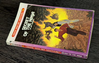 Secret of the Ninja by Jay Leibold (Choose Your Own Adventure)
