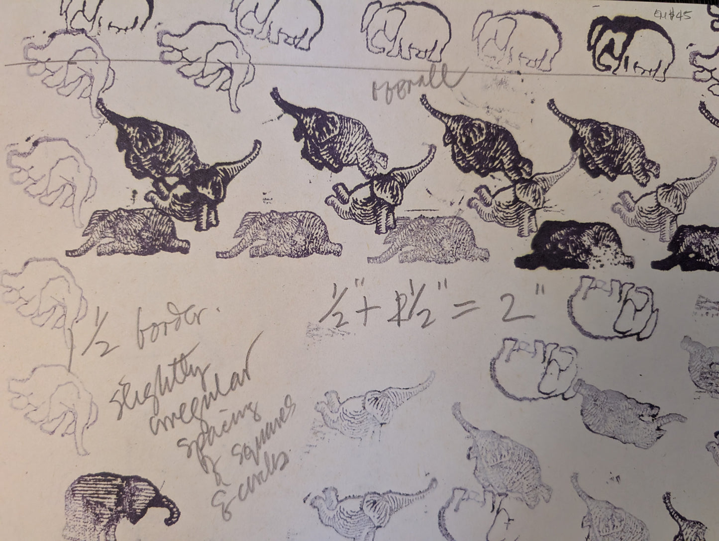 Elephant House or, The Home of Edward Gorey by photographs and text by Kevin McDermott