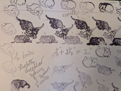 Elephant House or, The Home of Edward Gorey by photographs and text by Kevin McDermott