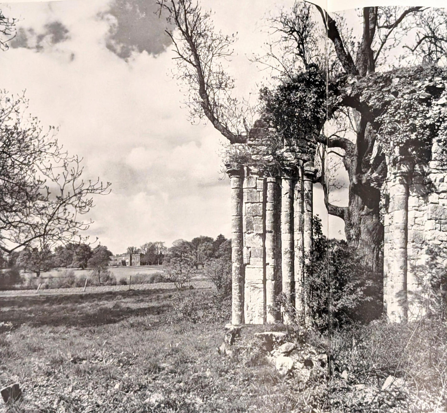 Ruins by Michael Felmingham and Rigby Graham