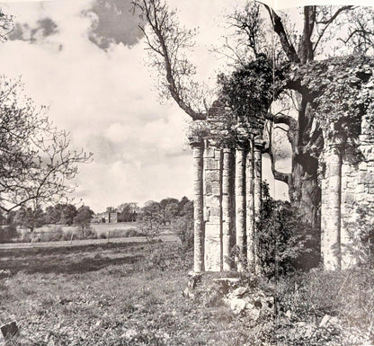 Ruins by Michael Felmingham and Rigby Graham