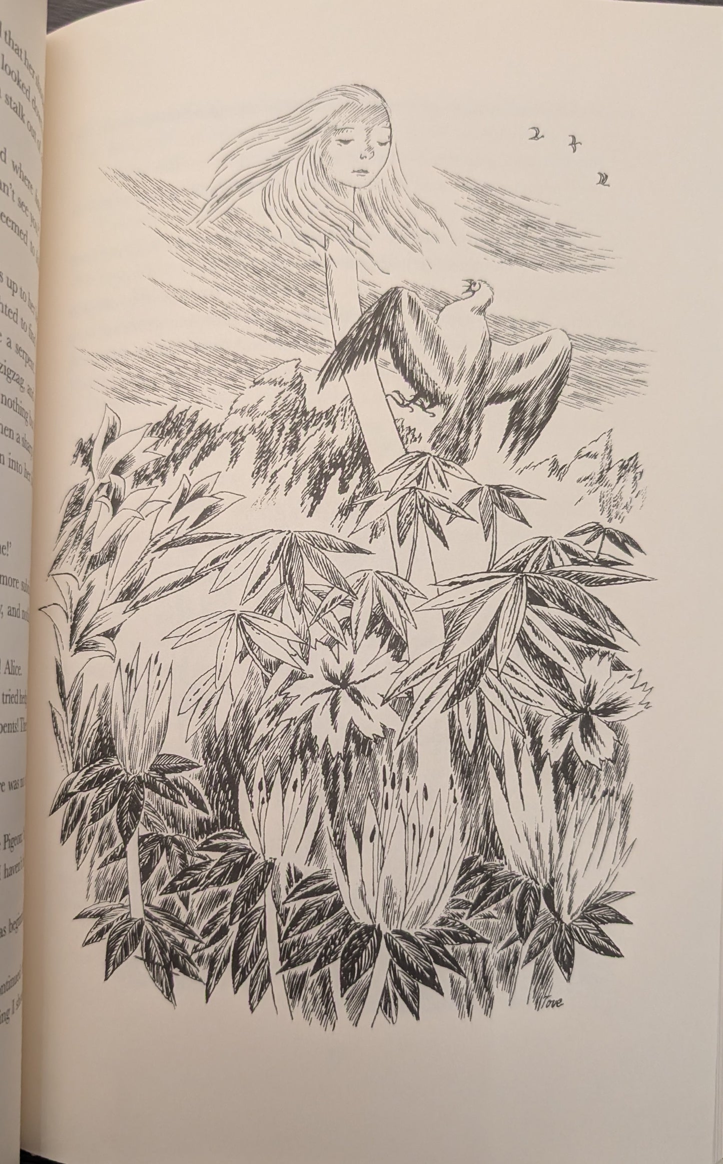 Alice's Adventures in Wonderland by Lewis Carroll illustrated by Tove Jansson