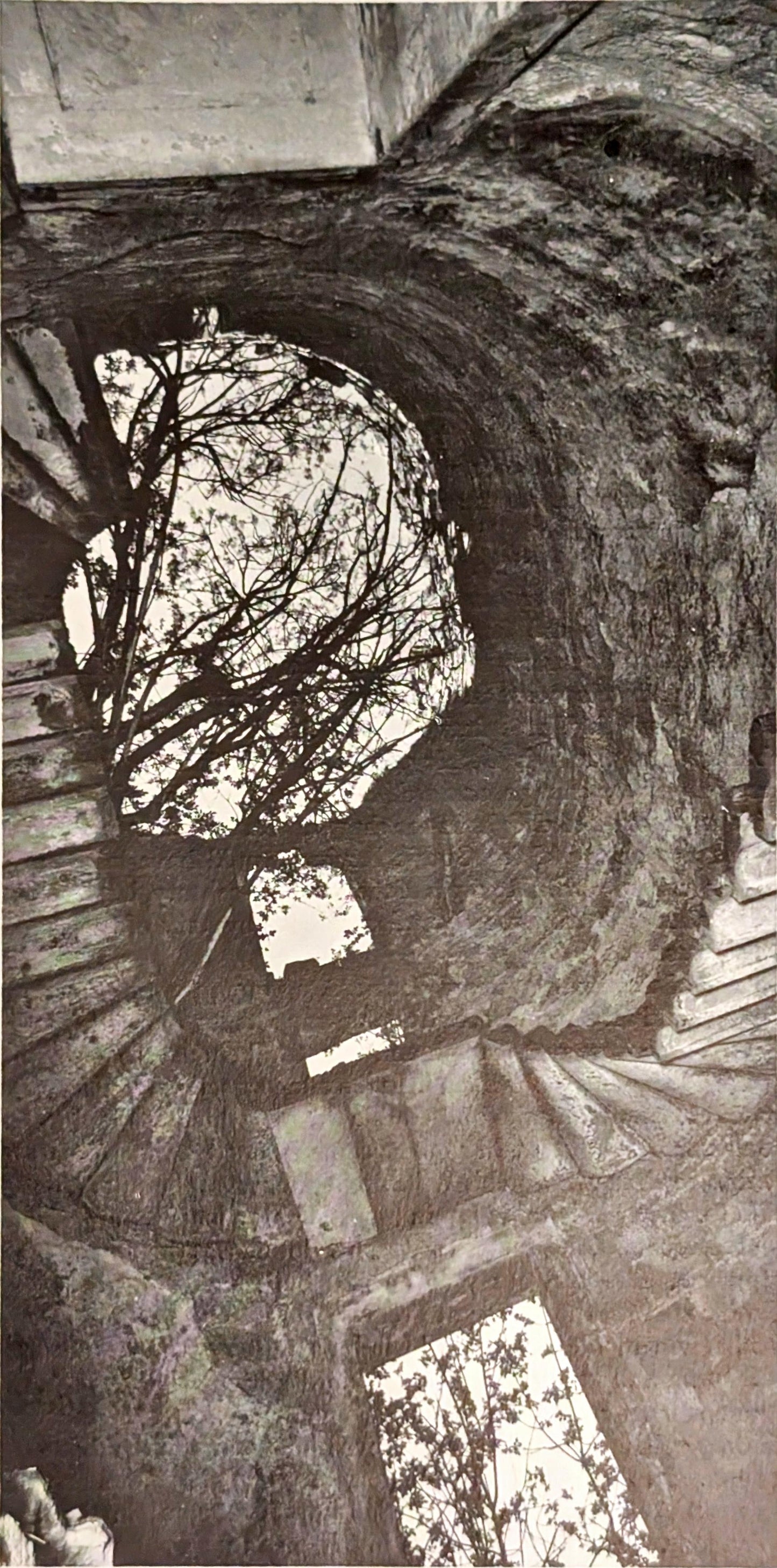 Ruins by Michael Felmingham and Rigby Graham