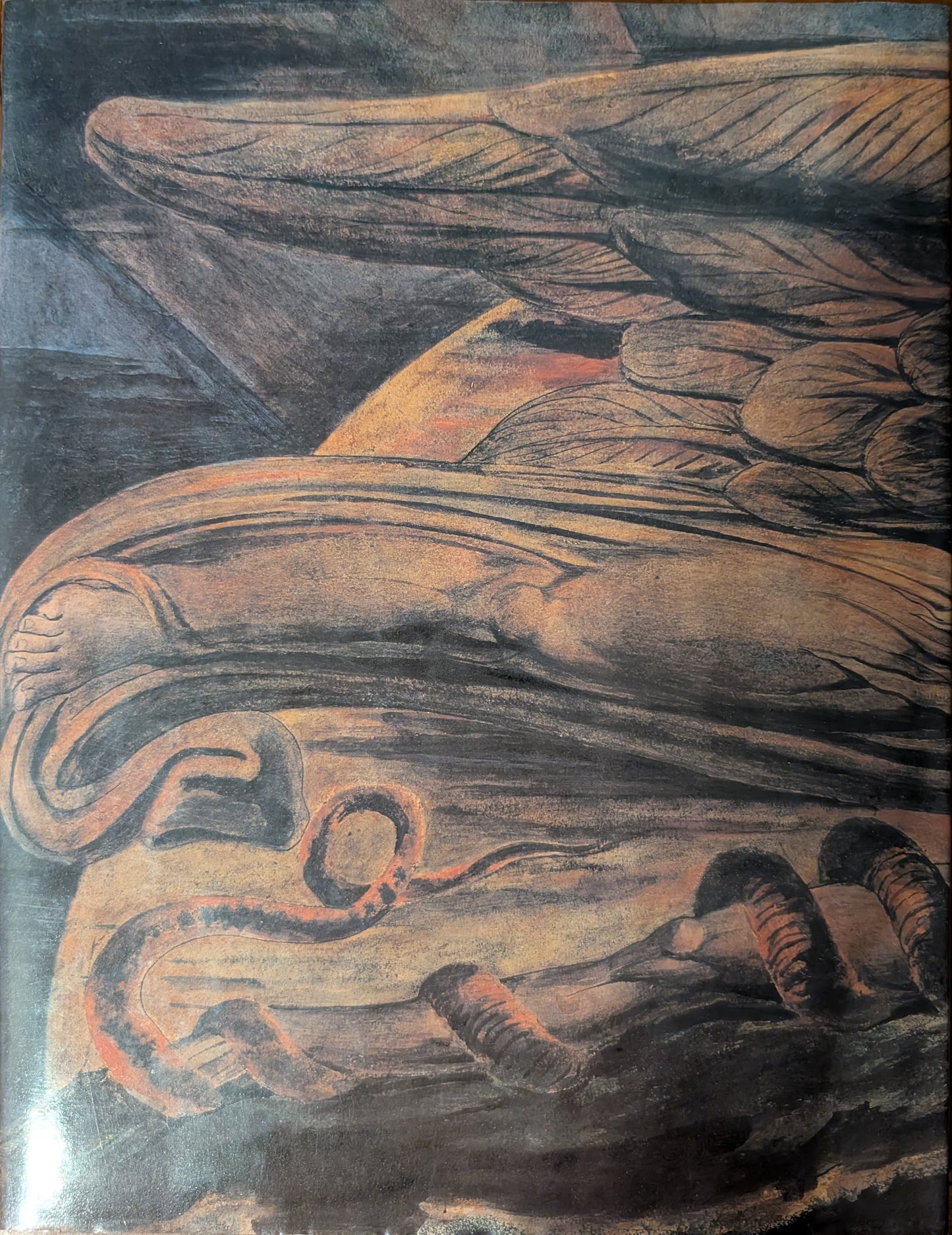 William Blake edited by Martin Butlin