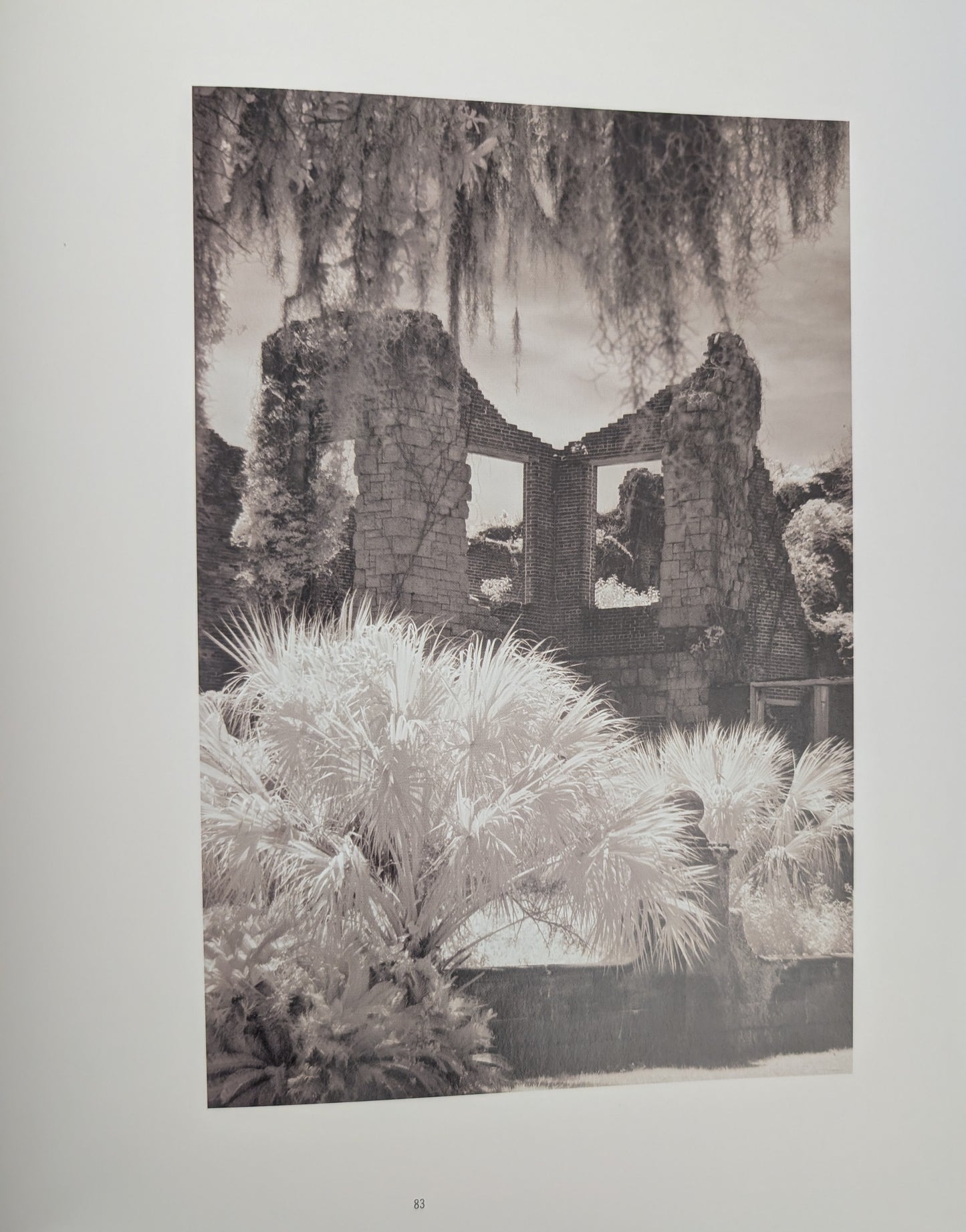 American Ruins photographs by Arthur Drooker and essay by Christopher Woodward