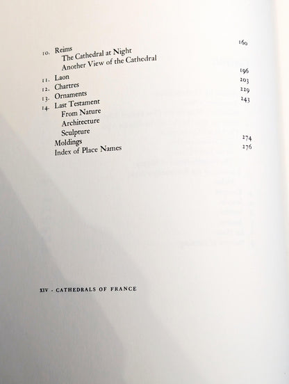 Cathedrals of France by Auguste Rodin