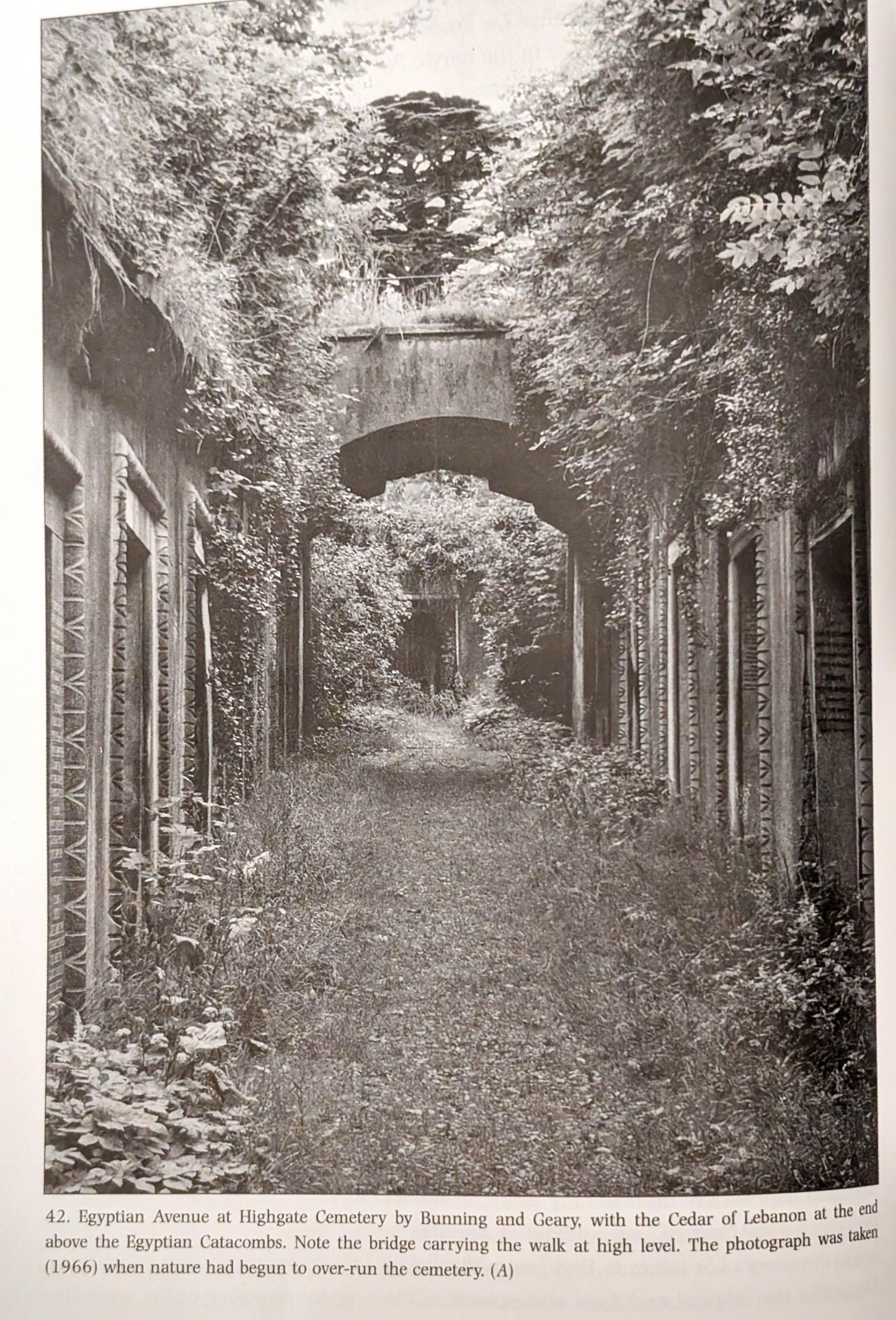 The Victorian Celebration of Death by James Stevens Curl